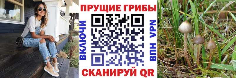 Галлюциногенные грибы мицелий кракен ONION Свирск