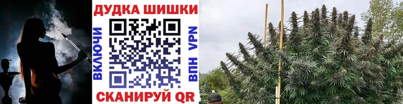 MEGA как войти  Свирск  Каннабис OG Kush 